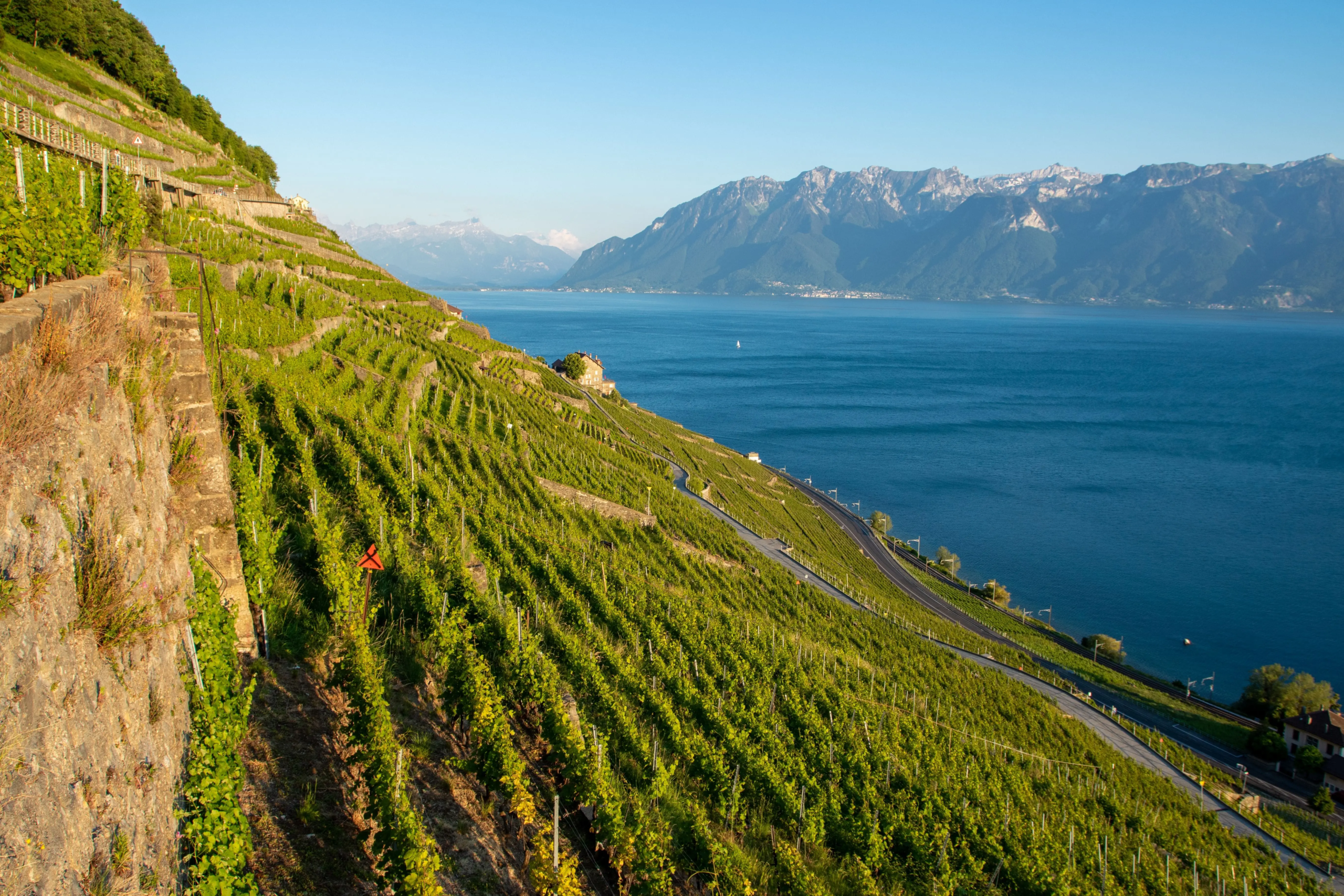 Congrès international FICB 2027 – Suisse romande